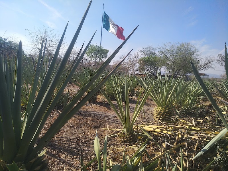 Finca Agroturistica El Tehuehue