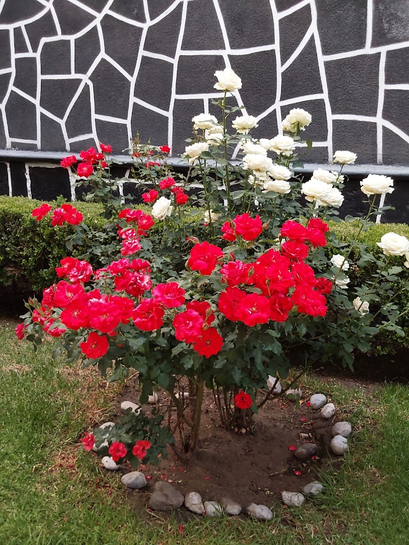 Parque zona verde