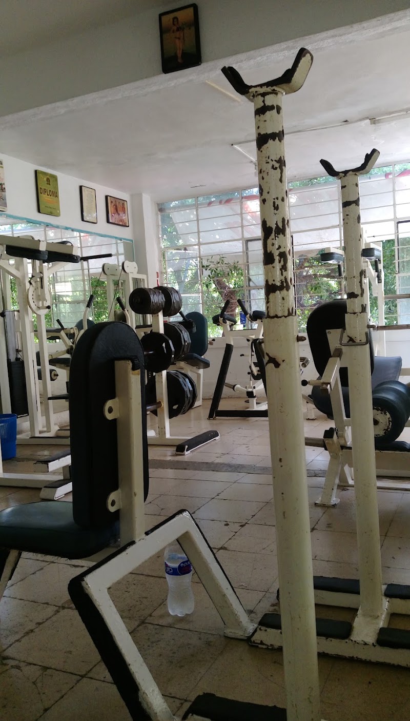 Alex ´ D Gym