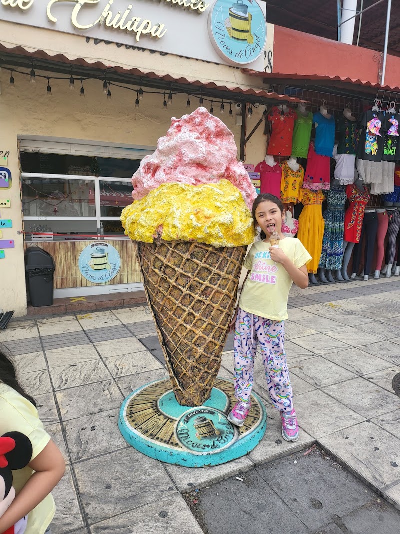 Nieves de Ángel
