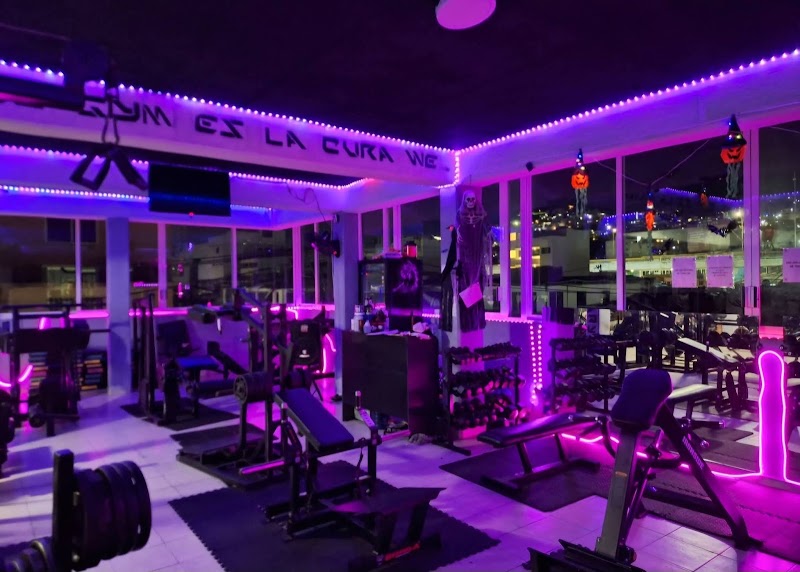 Crixus Gym
