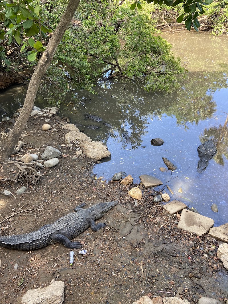 Cocodrilario Tamakún