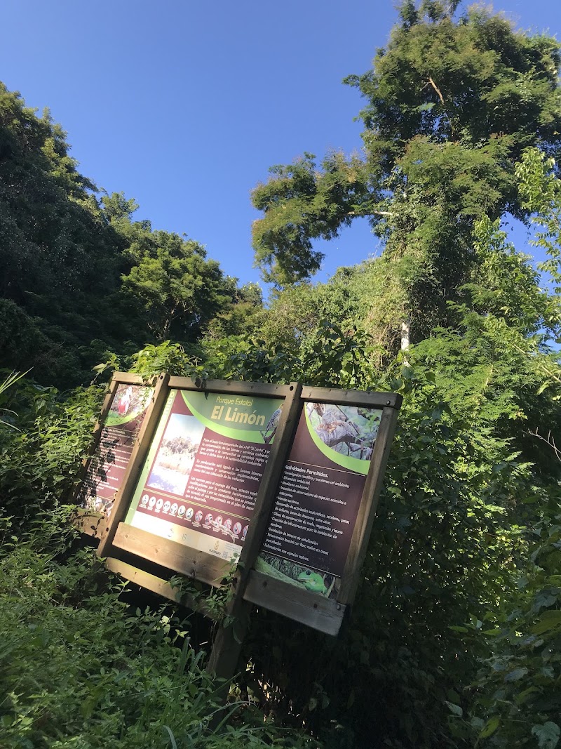 Sendero A Los Sembradios Parque El Limon
