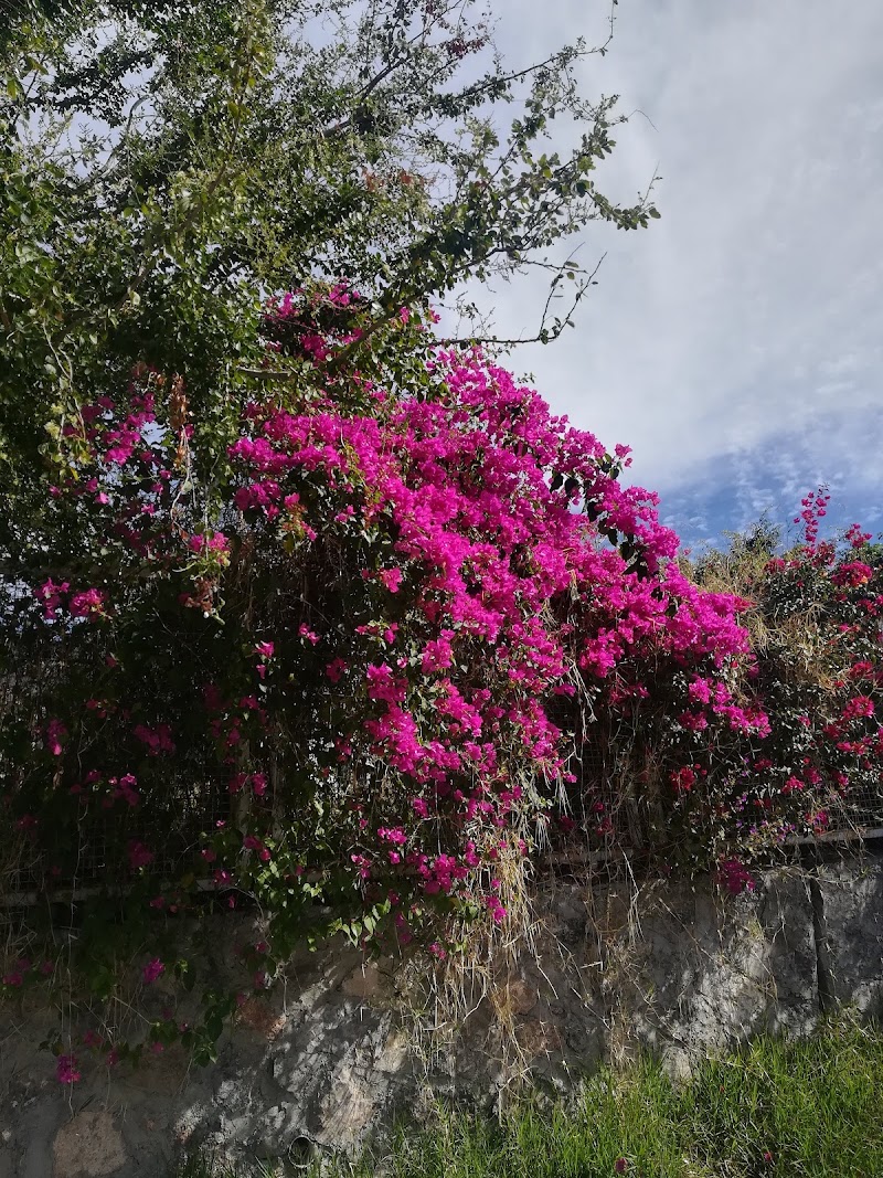 Parque Ampliación Lázaro Cárdenas