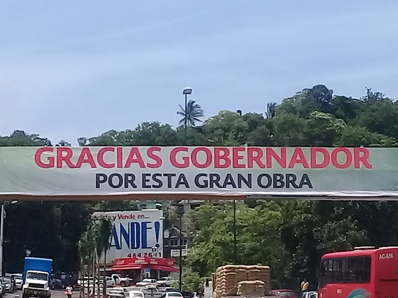 Vicente Guerrero