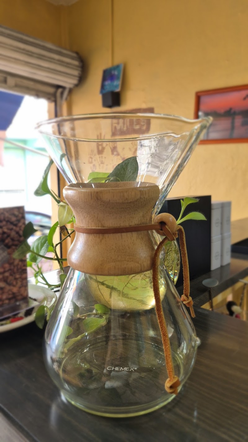 Raíces Café - Café de especialidad