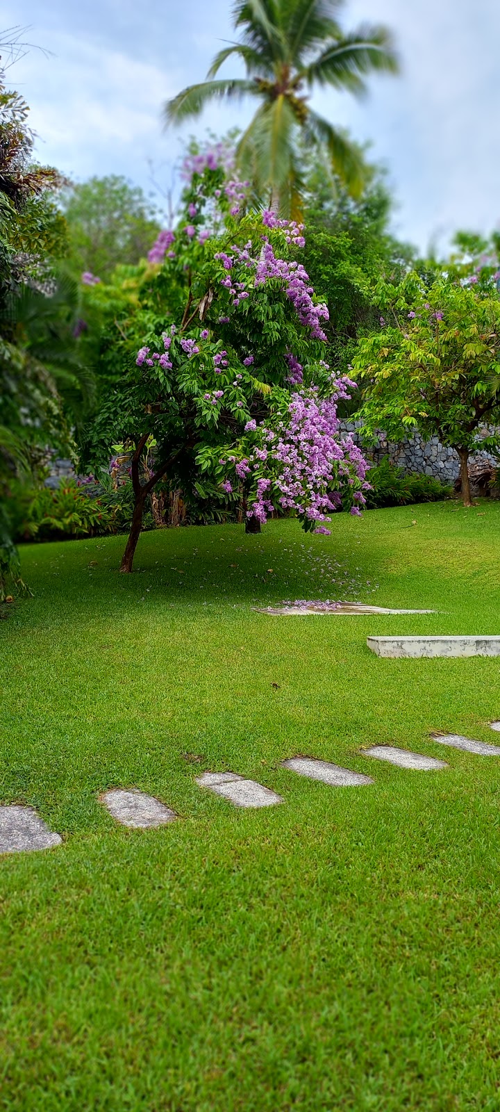 Parque zona verde