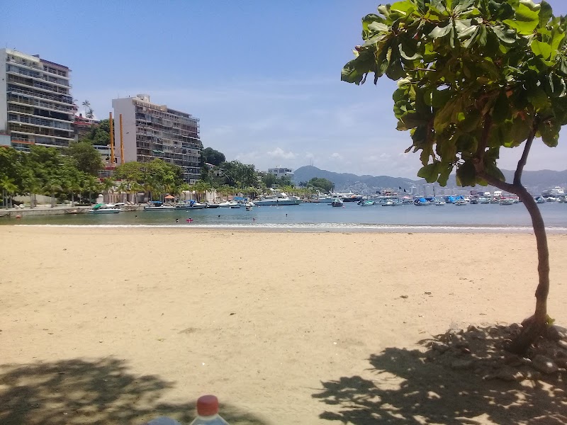 La jungla