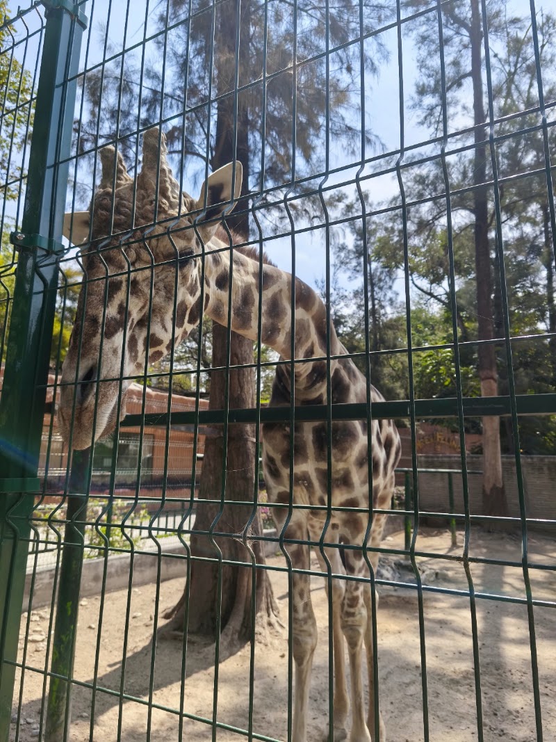 Zoológico Zoochilpan
