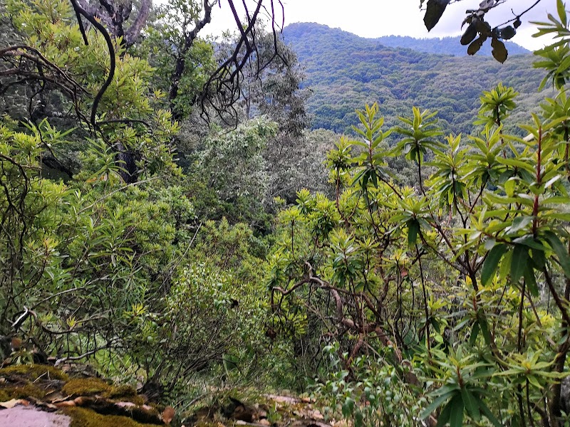 Parque Ecológico Rancho El Romerito