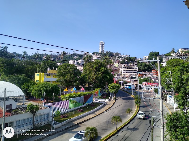 La jungla