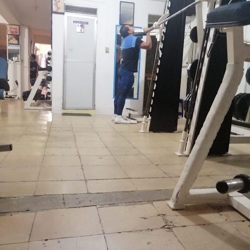 Alex ´ D Gym