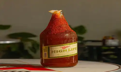 Botanero A Donde Quieras